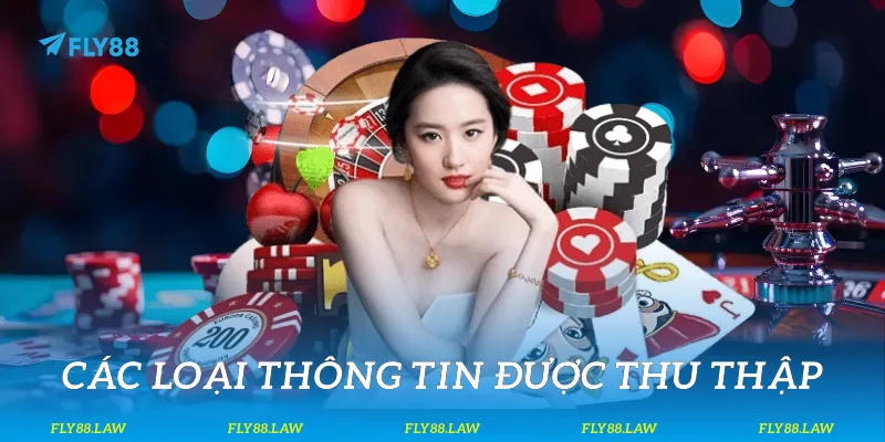 Các loại thông tin được thu thập