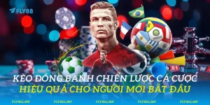 Kèo Đồng Banh - Cá Cược Hiệu Quả Cho Người Mới