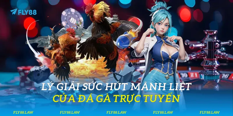 Lý giải sức hút mãnh liệt của đá gà trực tuyến