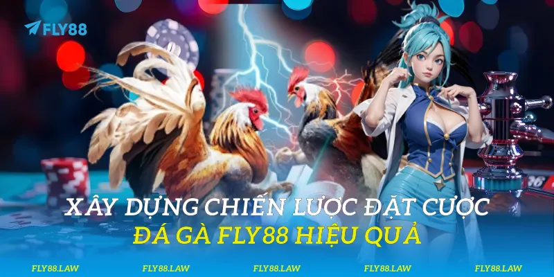 Xây dựng chiến lược đặt cược đá gà Fly88 hiệu quả